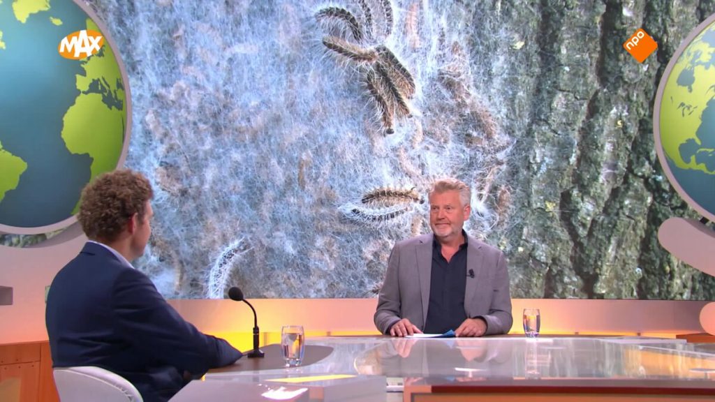 Plaagdieren die je kunt tegenkomen op reis