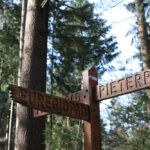 Na 40 jaar heeft het Pieterpad een echt eindpunt, hier kun je het vinden