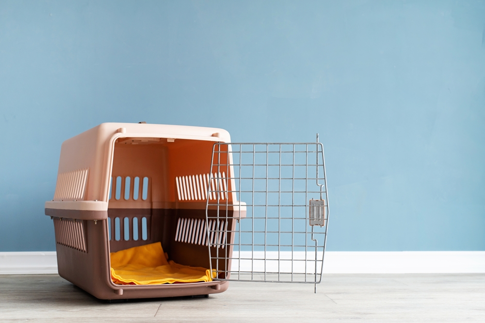 Mag een luchtvaartmaatschappij zomaar de prijs voor het vervoer van huisdieren drastisch verhogen?