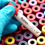 Tekort aan vaccins tegen hondsdolheid tot aan 2024: wat moet je doen als het je alsnog overkomt?