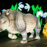 Light Safari of Light Nights: in steeds meer dierentuinen kun je ’s avonds lichtdieren bewonderen