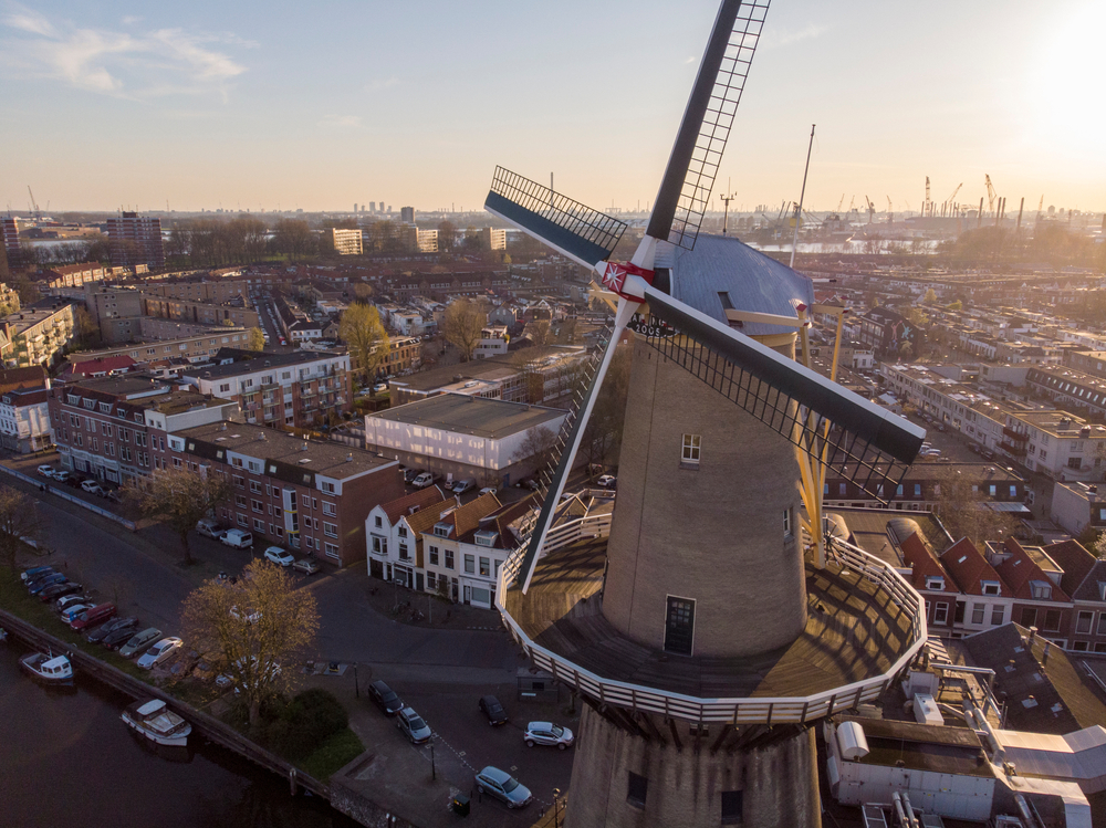 Een van de Reuzen van Schiedam.