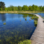 Een gezellige wandeling maken met het gezin? Dit zijn leuke en geschikte wandelplekken in Nederland