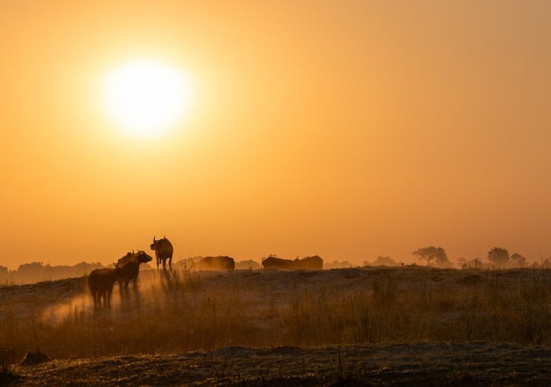 Wat zijn de mooiste reisbestemmingen voor 2026?