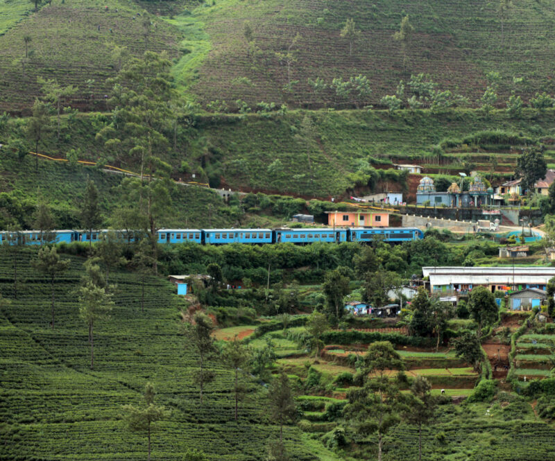 De treinreiziger: op avontuur langs de theevelden van Sri Lanka, van Nanu Oya naar Bandarawela