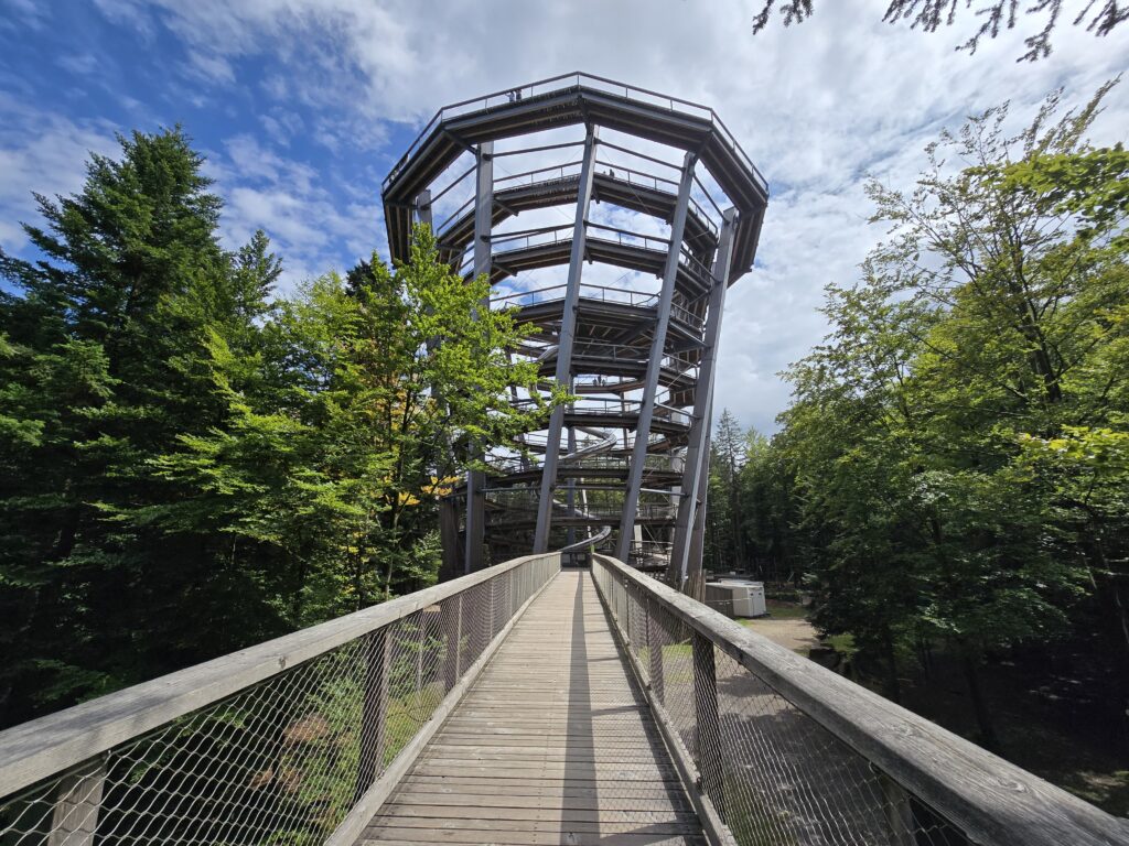 Uitkijktoren Zwarte Woud