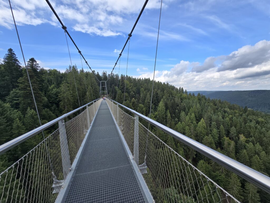 WildLine Hāngebrucke
