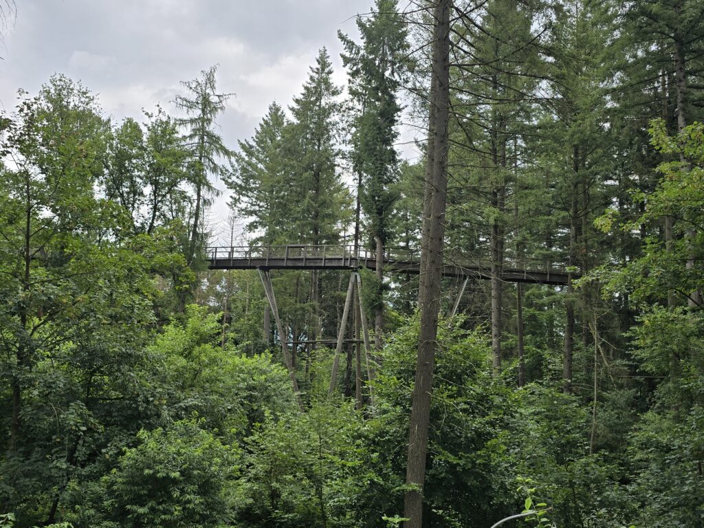 Baumwipfelpfad Saarschleife