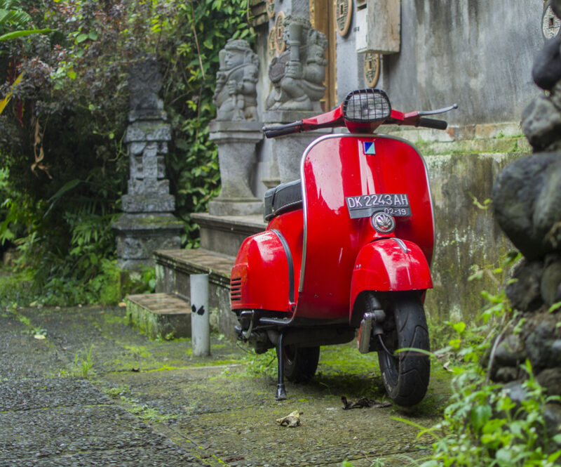 Rabiës, bijtende vissen en scooterongelukken: deze meldingen kregen alarmcentrales in 2025