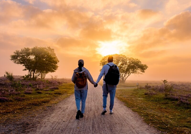 ‘Een wandeling rondom de Veluwe’ Hicle Wandelroute van het jaar 2026