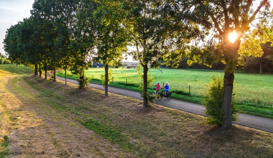 2 mensen fietsen naast elkaar in de natuur met bomen en weiland naast zich