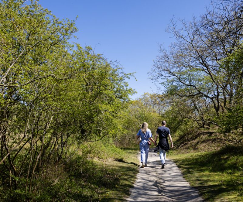 Nederland heeft er een nationaal park bij: de Hollandse Duinen