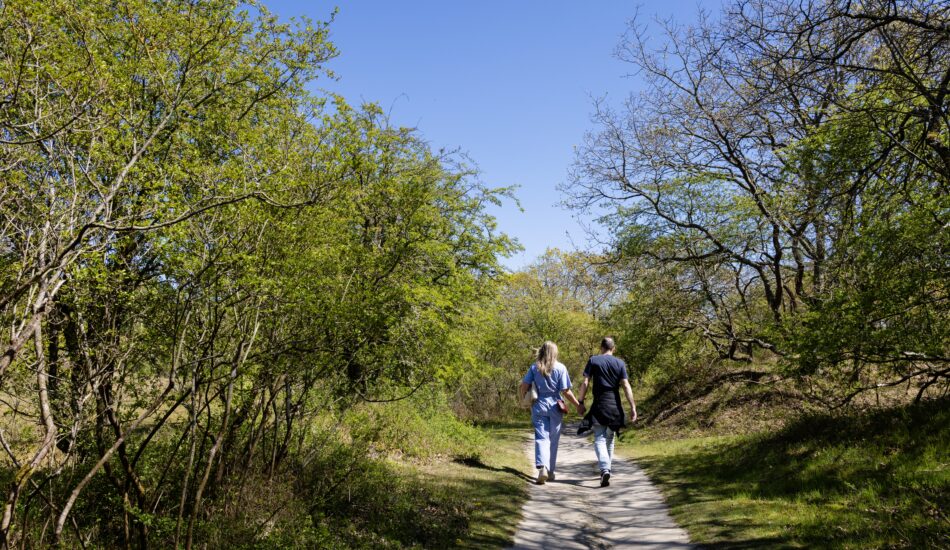 Hollandse Duinen