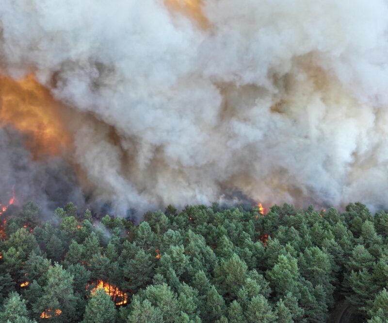Deel Route du Soleil dicht door oncontroleerbare bosbrand in Frankrijk